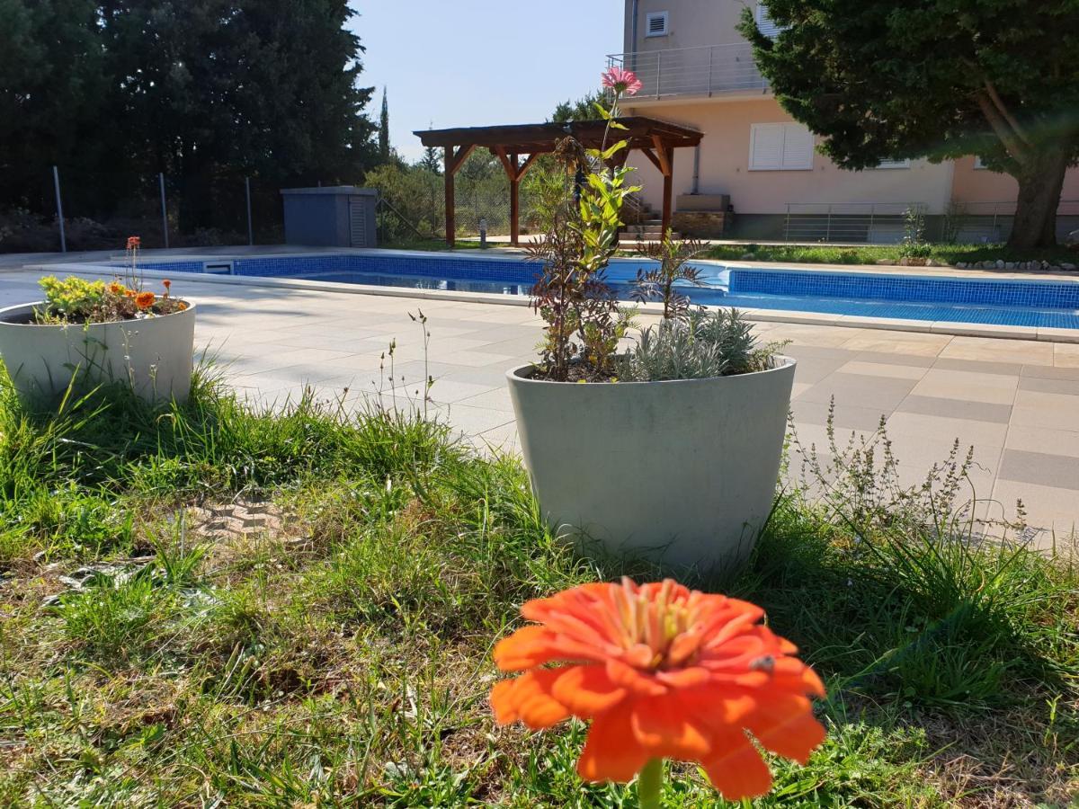 Olive Apartments Ugljan Exterior foto